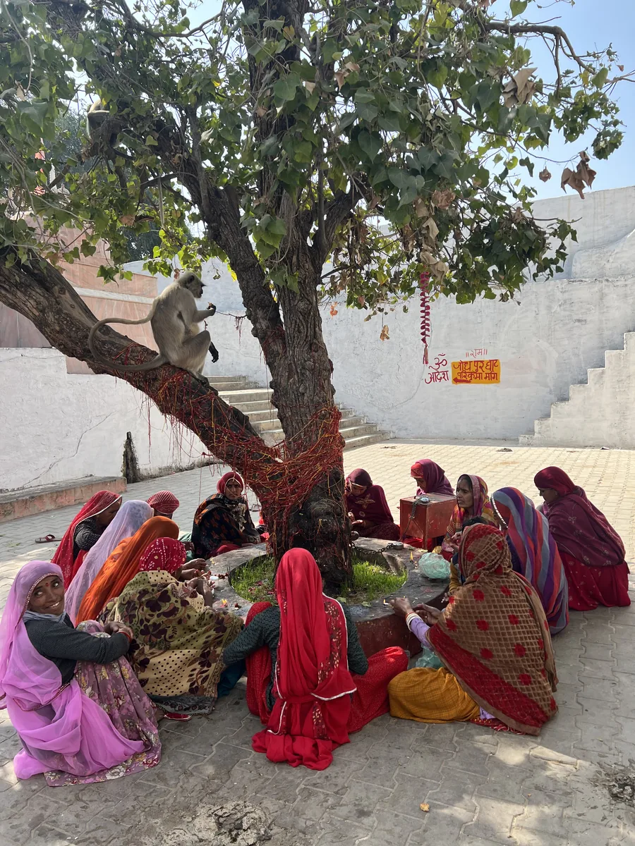 Local women gather beside a tree in the Pushkar region