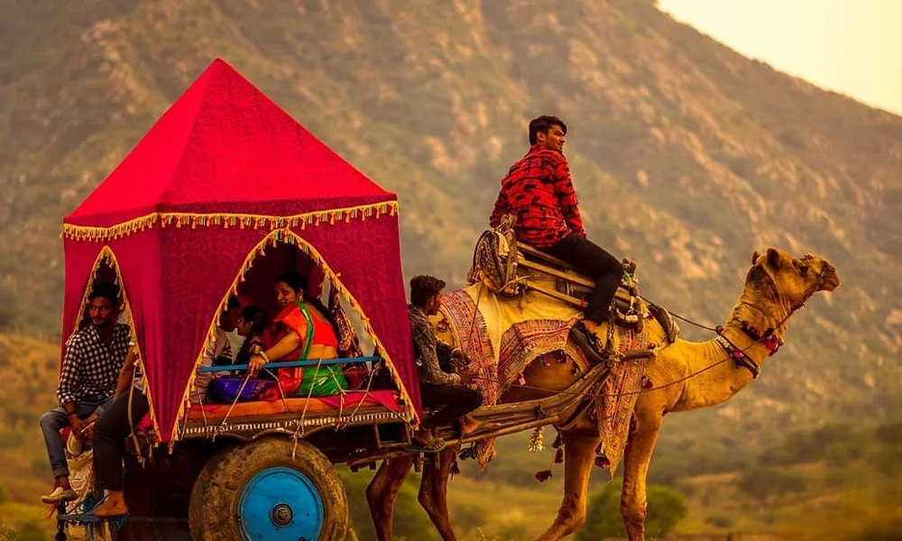 A decorated horse at a local Rajasthani event near Pushkar