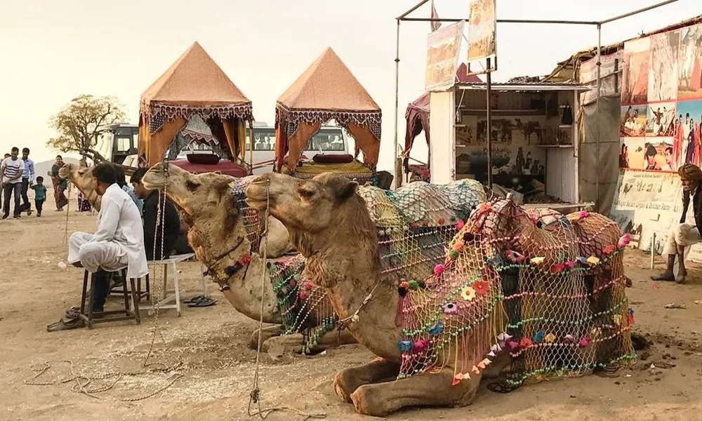 A quad bike ready for a desert ride near Pushkar