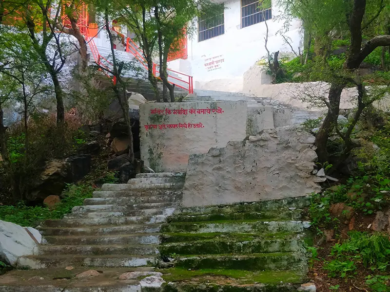 Stone steps climb through a green rocky valley near Pushkar